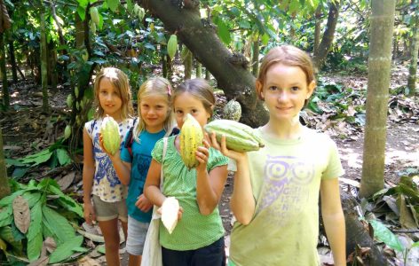 Cacao-Trail-With-Cacao-Pods-compressed-1